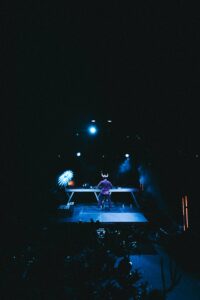 Bardix Techno Gauloise Festival Live Concert